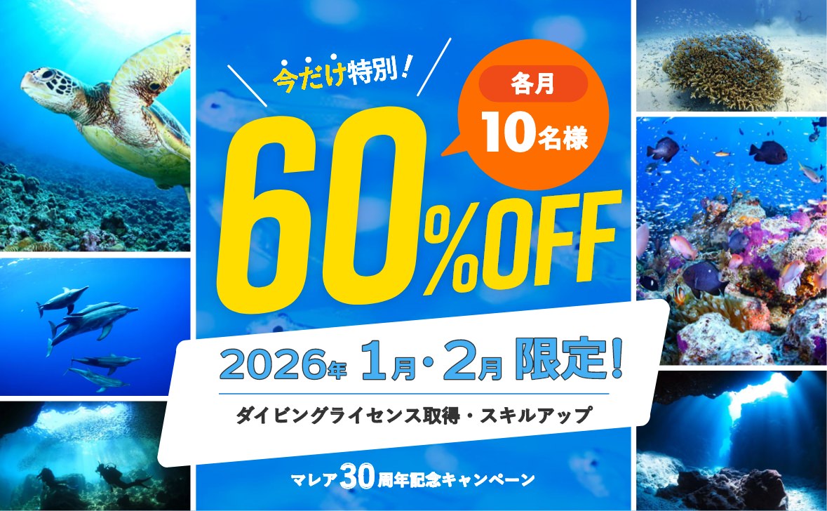 ダイビングライセンス取得60%OFFキャンペーン