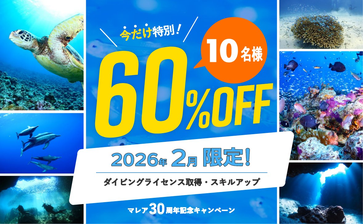ダイビングライセンス取得60%OFFキャンペーン