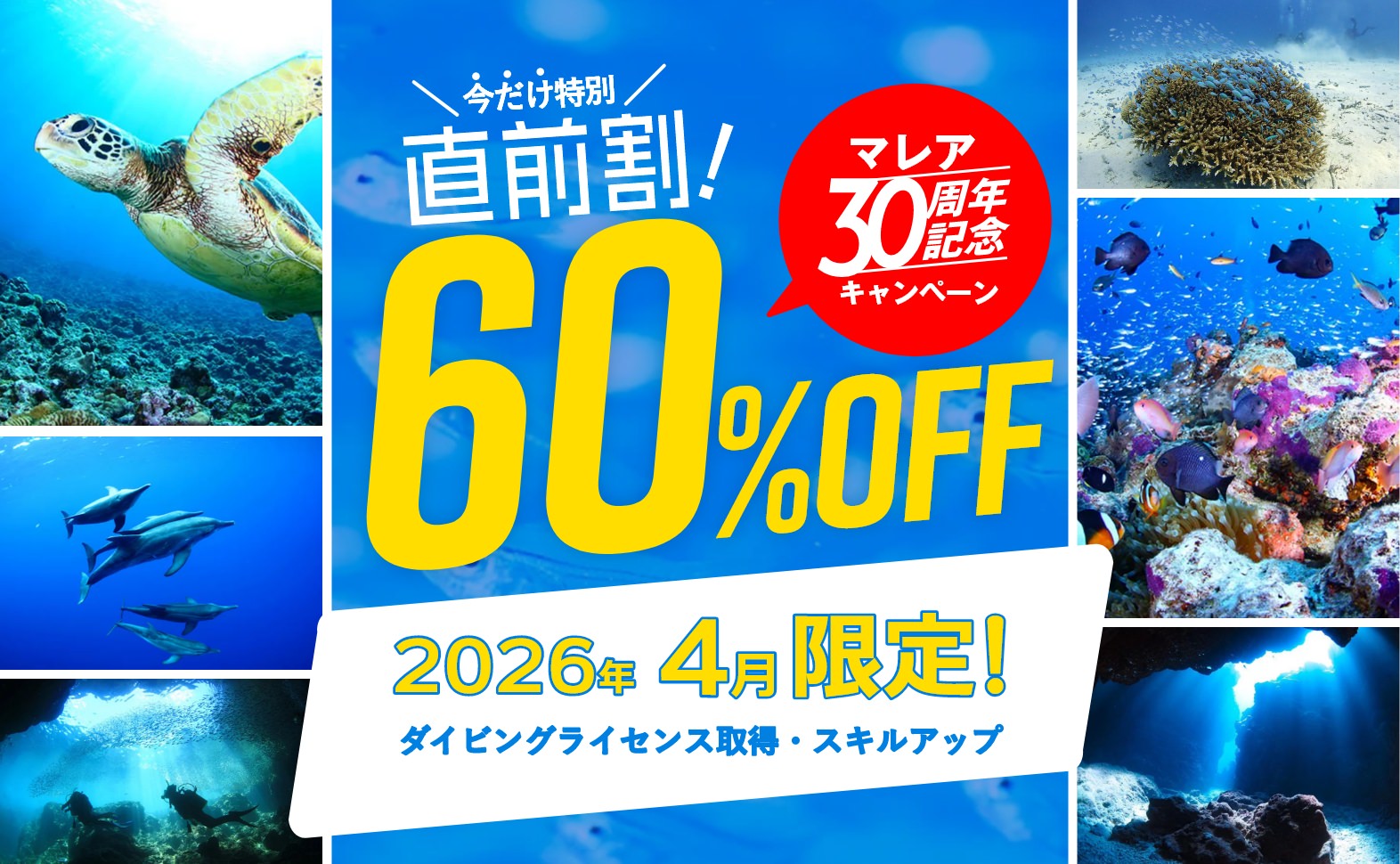 今だけ特別 直前割60％OFF 2026年4月限定！ダイビングライセンス取得・スキルアップ
