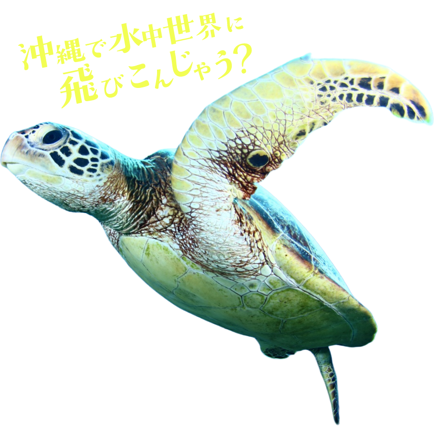 沖縄で水中世界に飛び込んじゃう？