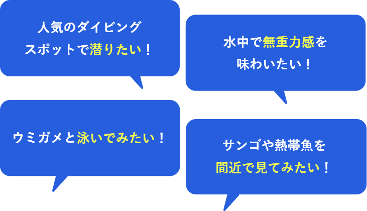 人気のダイビングスポットで潜りたい！はじめてでも自信を持ってダイビングを始めたい！ウミガメと泳いでみたい！サンゴや熱帯魚を間近で見てみたい！