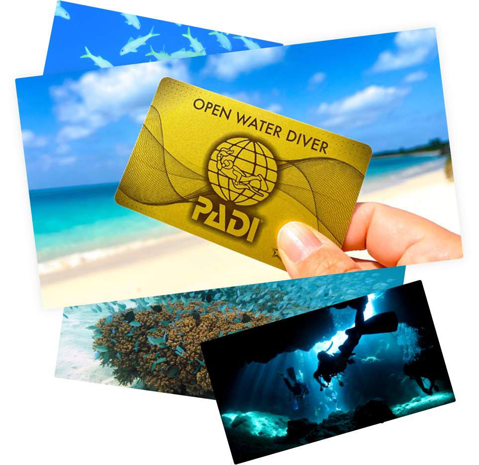 ダイビングライセンスのゴールドカード